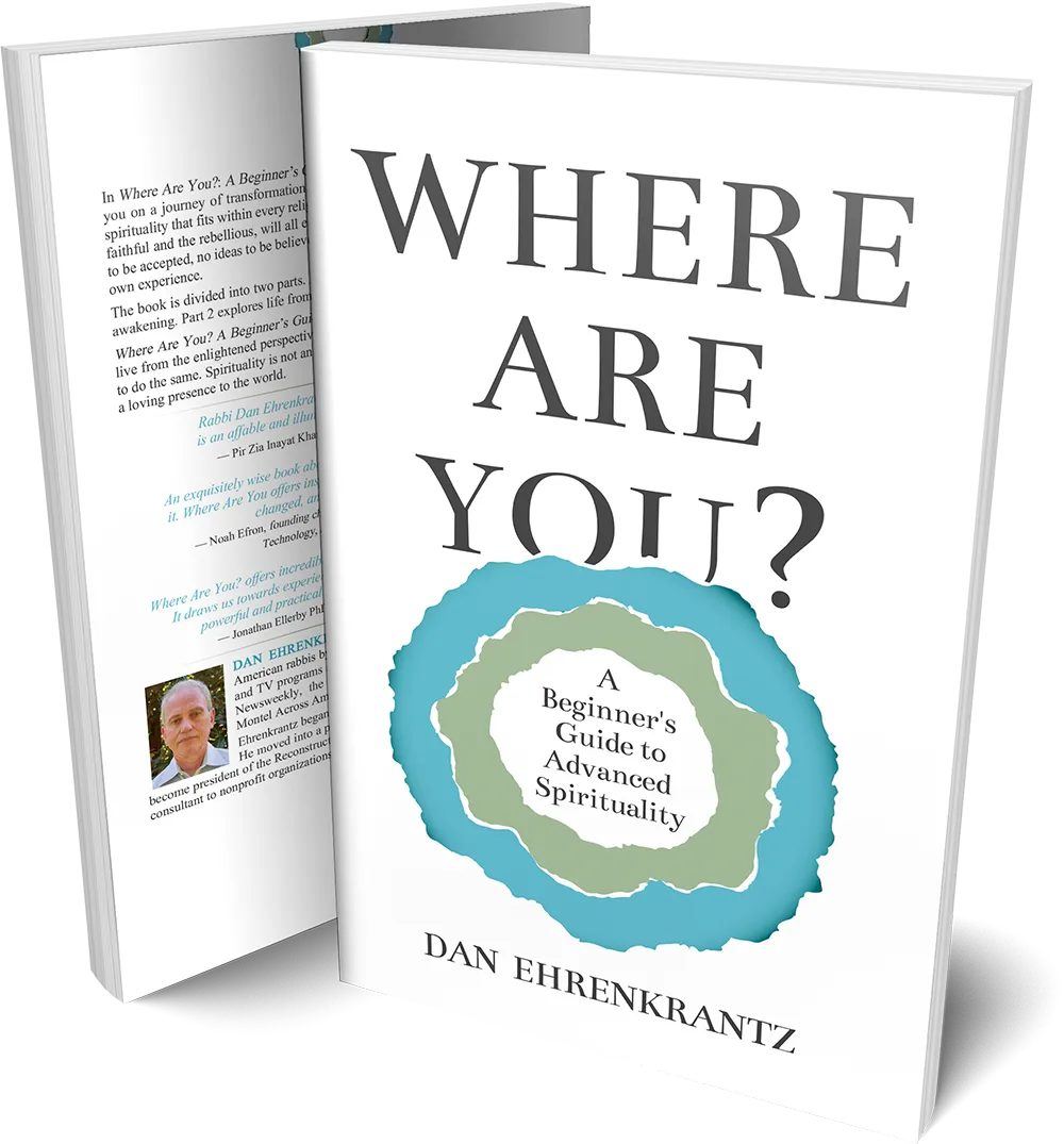 Front and back covers of Where Are You?